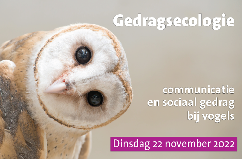 Gedragsecologie, communicatie en sociaal gedrag bij vogels
