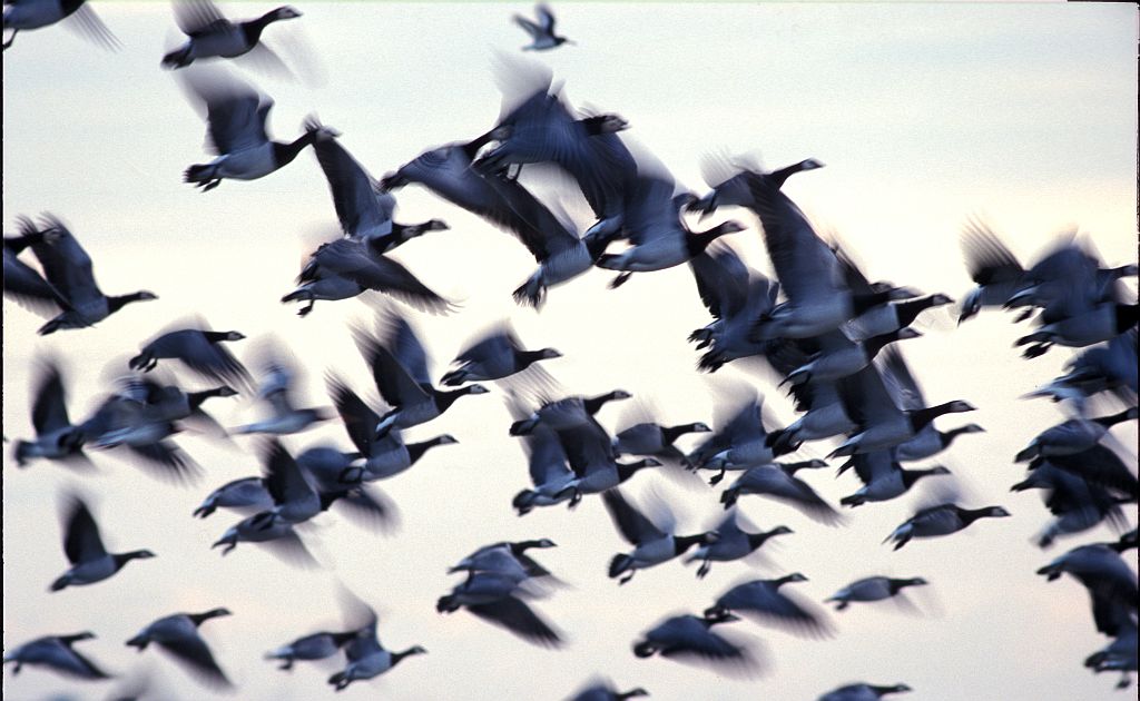 Fietsexcursie vanaf Polsmaten