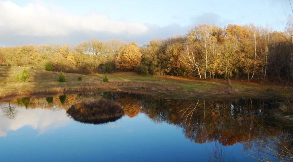 Natuurgebied 'Schepping' door Eef Arnolds